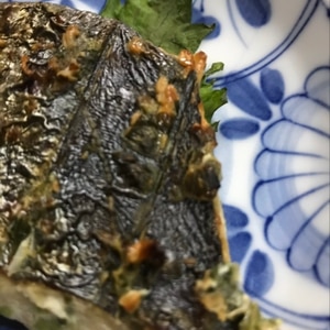 鰆の葱焼き